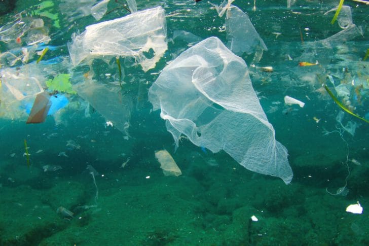 プラスチック汚染