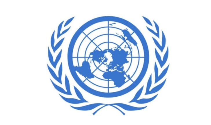 国際連合開発計画(UNDP)