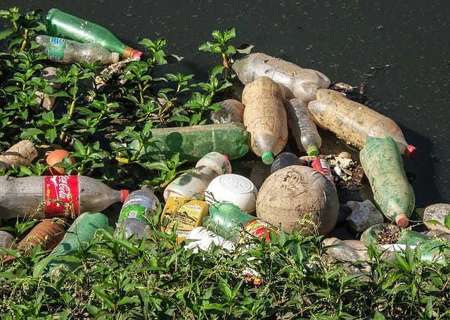 水辺に散らばる廃ペットボトル