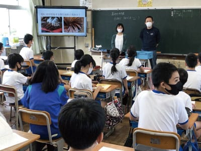 小浜市の小学校で行われた箸づくりの授業風景