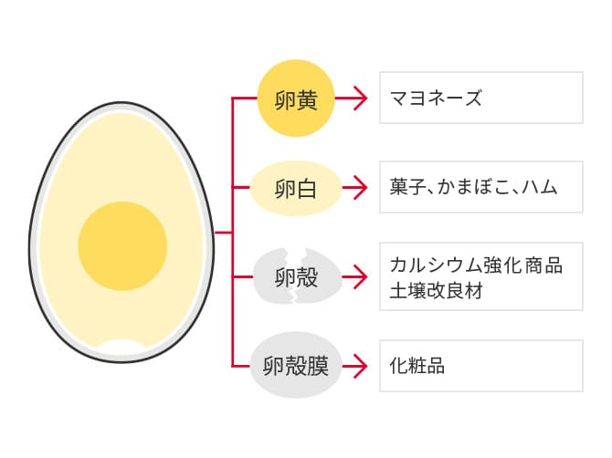 キユーピー卵の有効活用