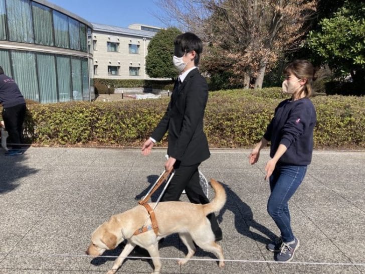 新入社員による公益財団法人アイメイト協会（盲導犬）体験歩行の様子